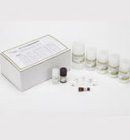 Western blotting（山羊IgG） DAB法显色试剂盒  一盒